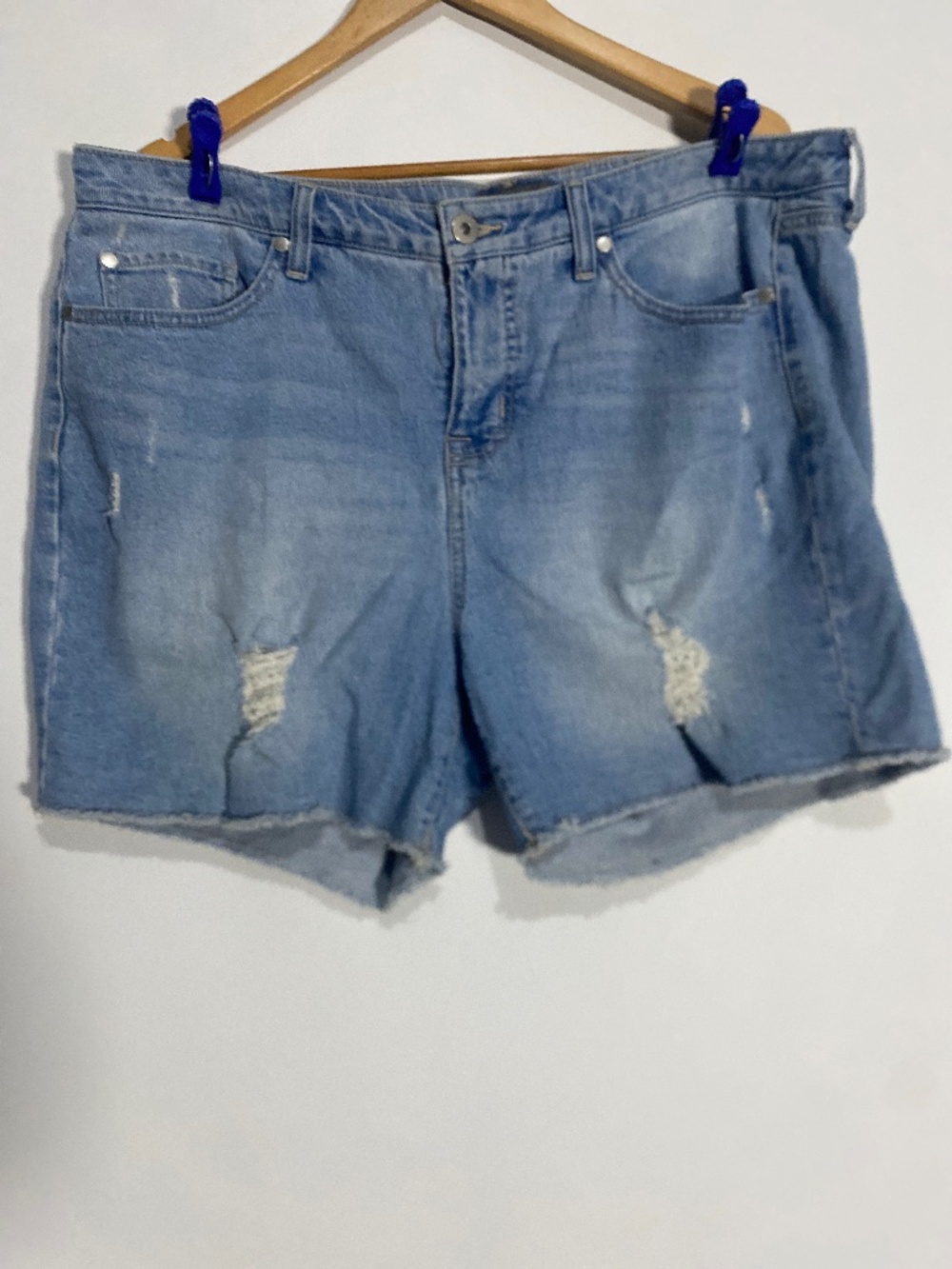Torrid 16 Distressed Jean Short